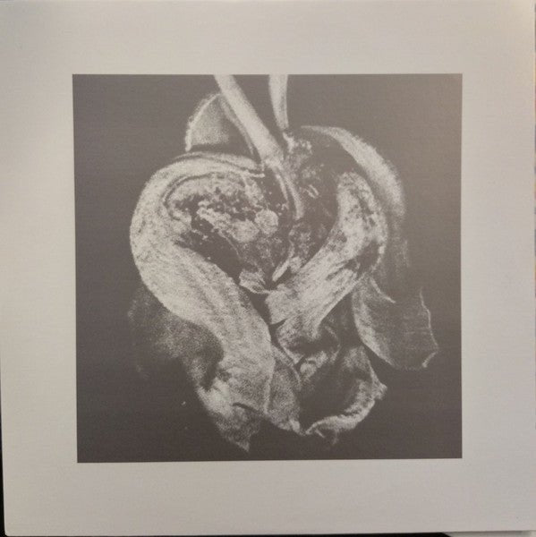 Pearl River Sound - Remember Every Moment EP Vinyl