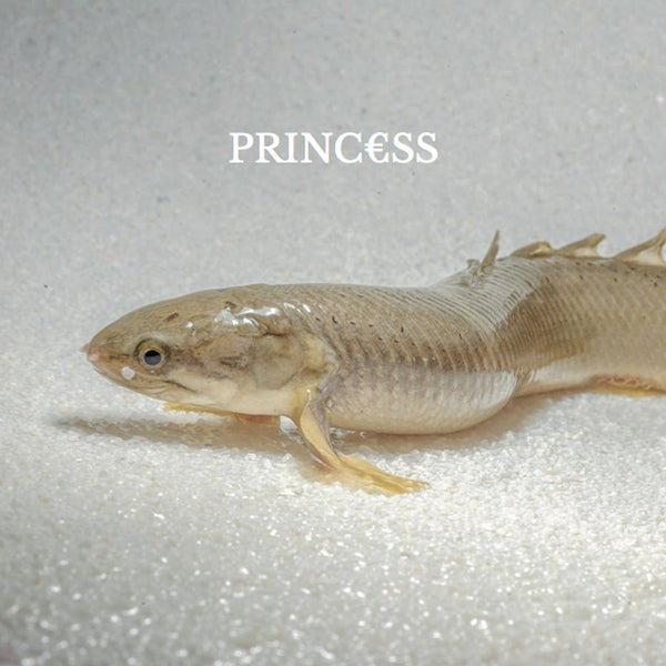 Princ€ss - Princ€ss Vinyl