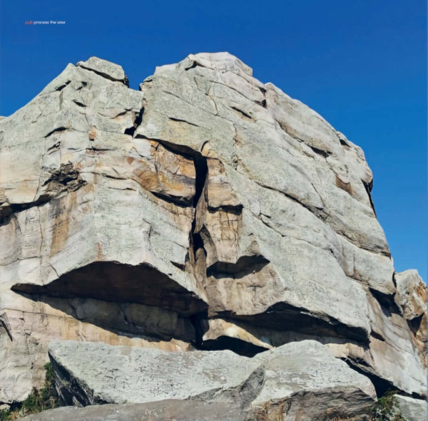 pub - process the wise Vinyl