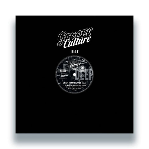 Ricky Montanari & Discoplex / Luca Olivotto / Gianni Bini - Deep Into House Vol.3 Vinyl - Vinyl Record