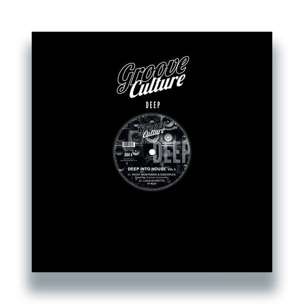 Ricky Montanari & Discoplex / Luca Olivotto / Gianni Bini - Deep Into House Vol.3 Vinyl
