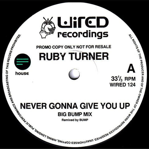 Ruby Turner - Never Gonna Give You Up Vinyl - Vinyl Record