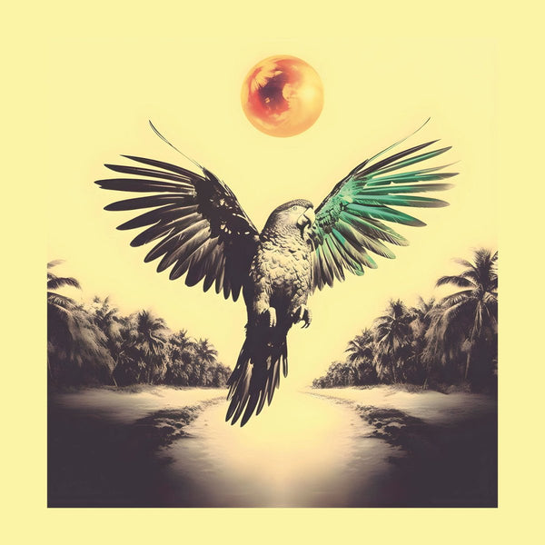 Sam Nóbrega - Ponta de Dois Lados Vinyl