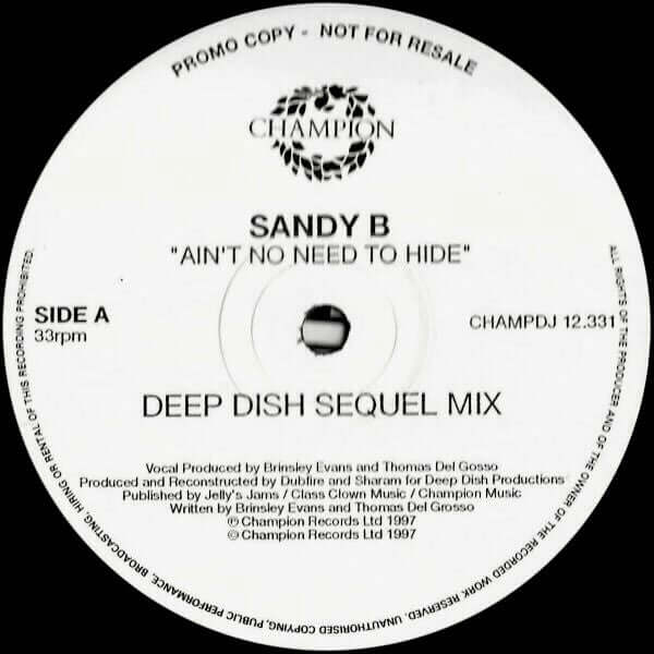 Sandy B - Ain't No Need To Hide Vinyl
