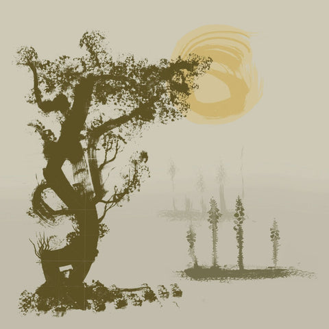 Shackleton - The Scandal of Time Vinyl - Vinyl Record