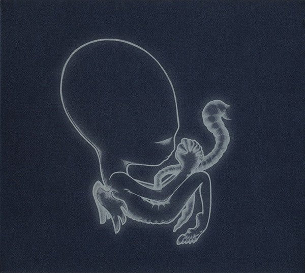 Sigur Rós - Ágætis Byrjun (CD) Vinyl