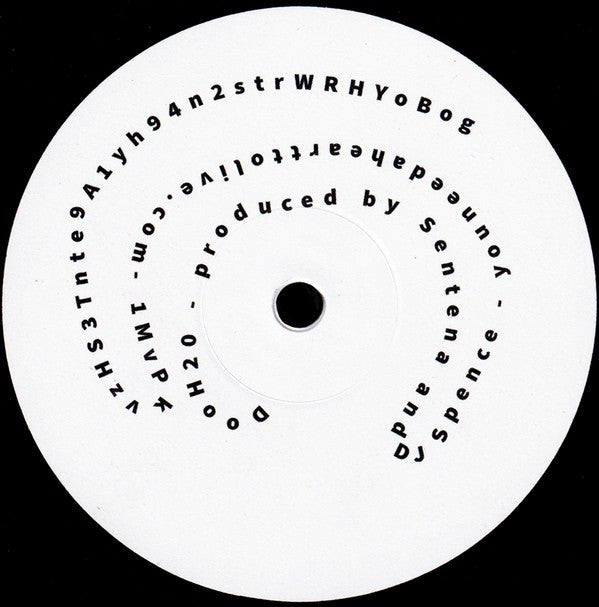 SnP 500 - SnP 500 Vinyl