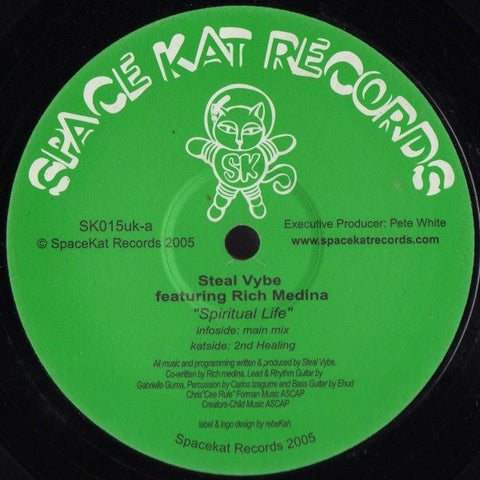 Steal Vybe Featuring Rich Medina - Spiritual Life Vinyl - Vinyl Record