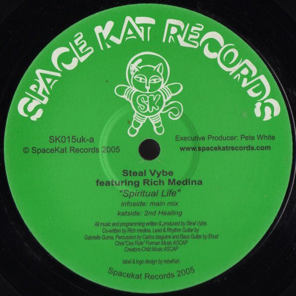 Steal Vybe Featuring Rich Medina - Spiritual Life Vinyl