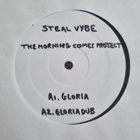 Steal Vybe - The Morning Comes EP Vinyl - Vinyl Record