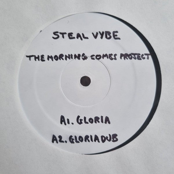 Steal Vybe - The Morning Comes EP Vinyl