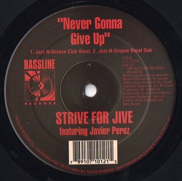 Strive For Jive Featuring Javier Perez - Never Gonna Give Up Vinyl