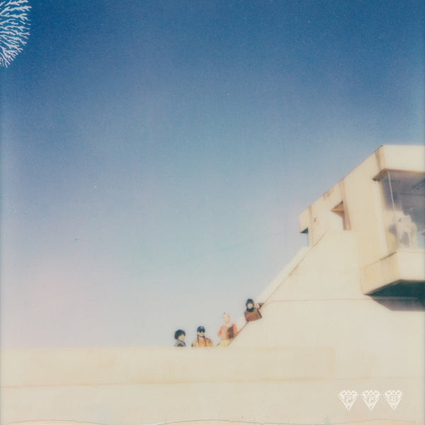 TAMTAM - Where They Dwell Vinyl