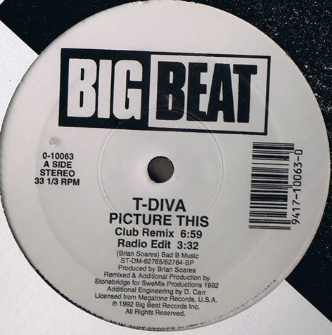 Technodiva - Picture This Vinyl