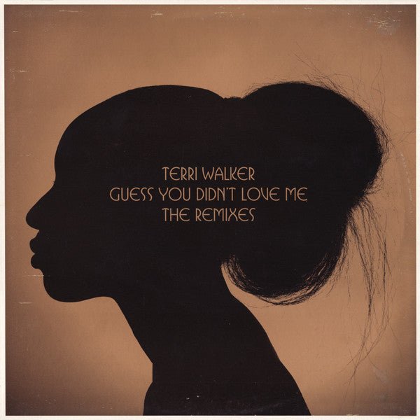 Terri Walker - Guess You Didn't Love Me (The Remixes) Vinyl