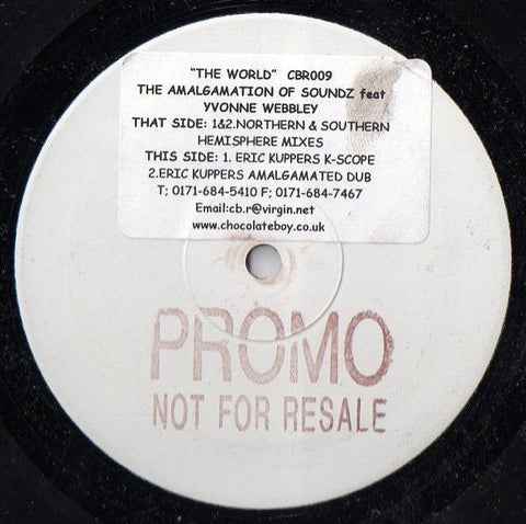 The Amalgamation Of Soundz Featuring Yvonne Webbley - The World Vinyl - Vinyl Record
