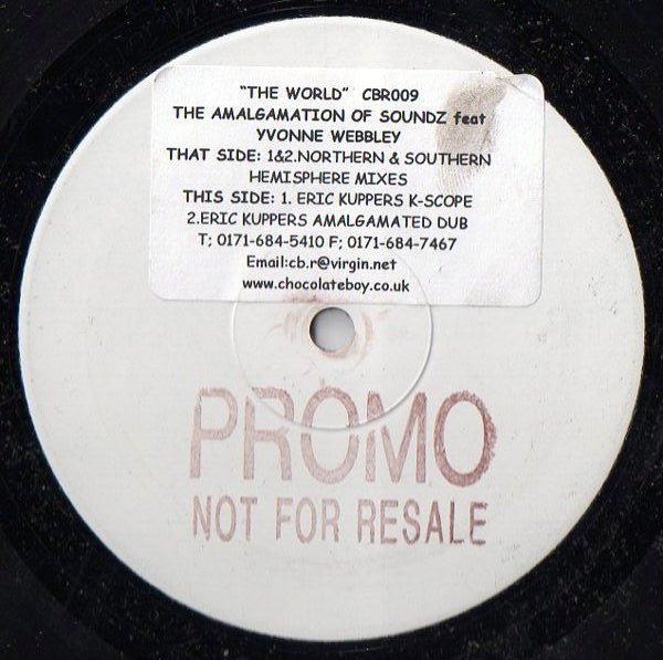The Amalgamation Of Soundz Featuring Yvonne Webbley - The World Vinyl