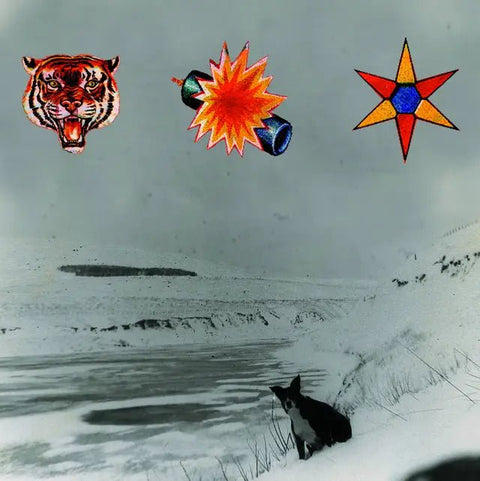 The Beta Band - The Three EPs Vinyl - Vinyl Record