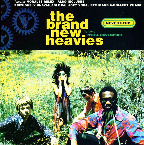 The Brand New Heavies Featuring N'Dea Davenport - Never Stop Vinyl
