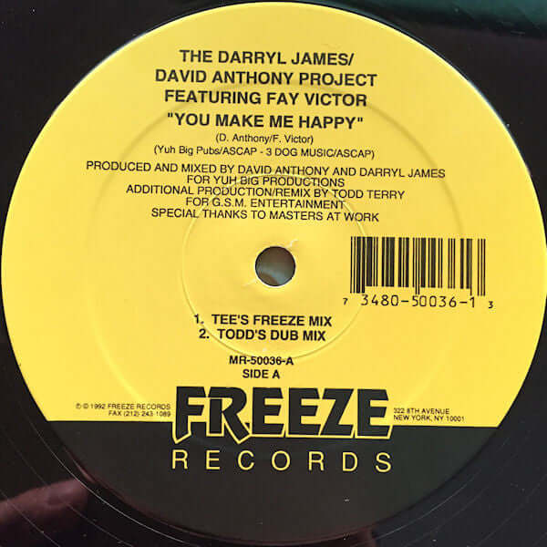 The Darryl James/David Anthony Project Featuring Fay Victor - You Make Me Happy Vinyl