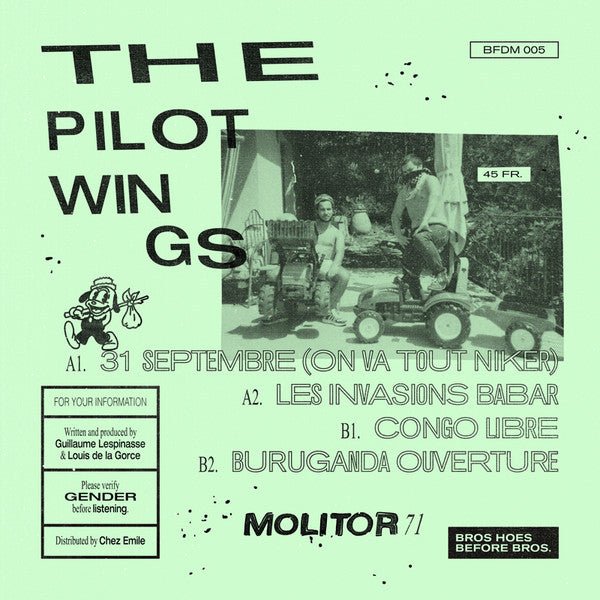 The Pilotwings - Molitor 71 Vinyl