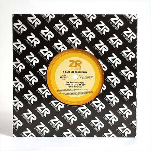 The Sunburst Band / Dave & Maurissa - Secret Life Of Us Vinyl