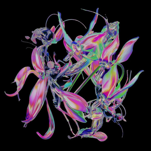 Theo Kottis - Drone Vinyl