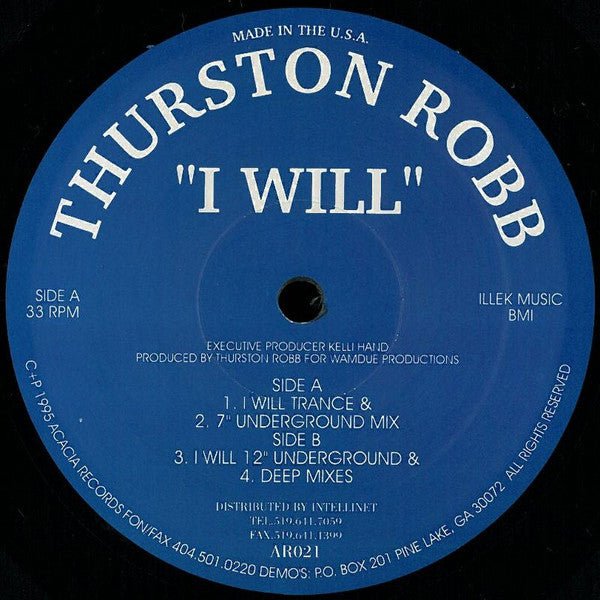 Thurston Robb - I Will Vinyl