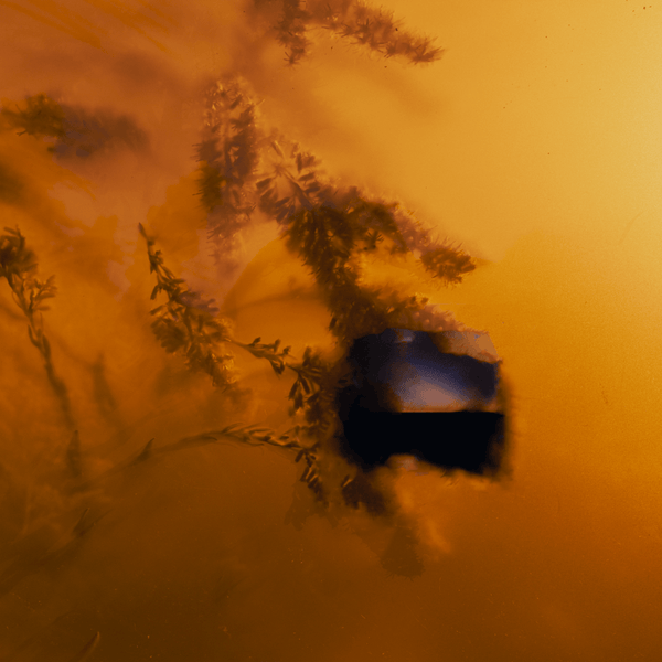 Ulla & Ultrafog - it means a lot Vinyl