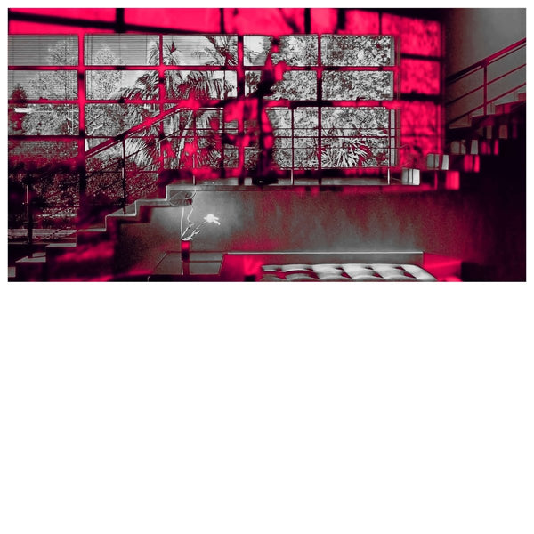 Unspecified Enemies - Romance in the Age of Adaptive Feedback Vinyl