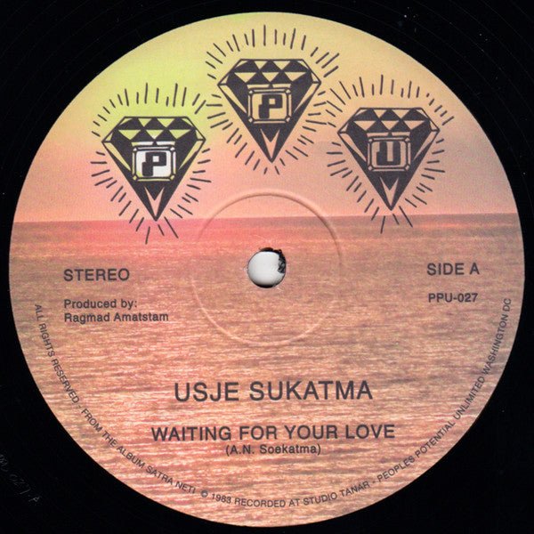 Usje Sukatma - Waiting For Your Love Vinyl