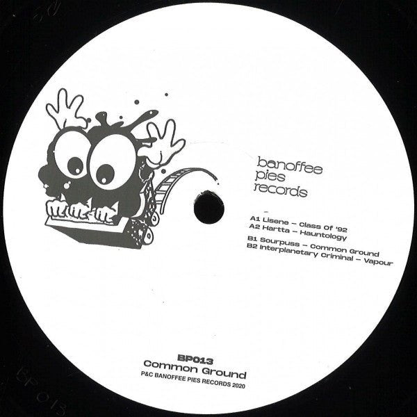 Various - Common Ground Vinyl