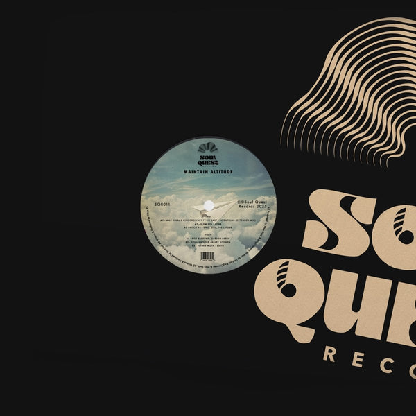 Various - Maintain Altitude EP Vinyl