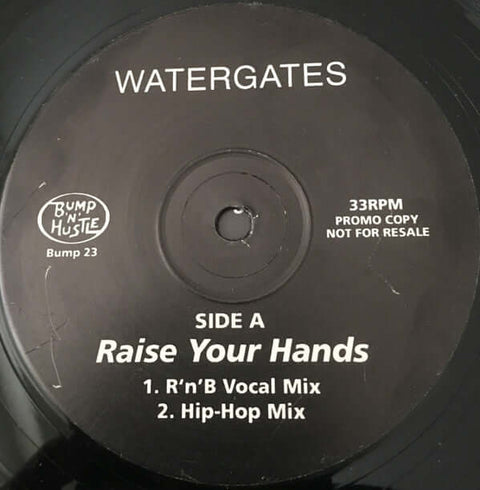 Watergates - Raise Your Hands Vinyl - Vinyl Record