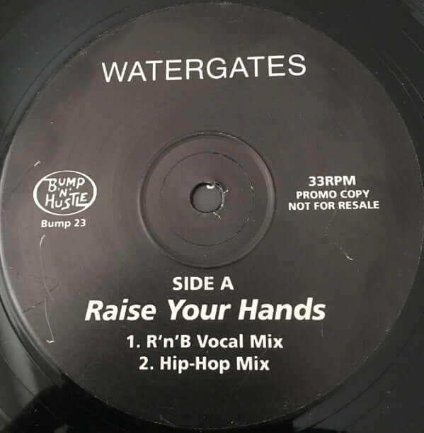 Watergates - Raise Your Hands Vinyl