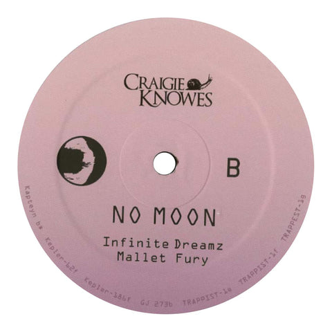 No Moon - Infinite Dreamz - Artists No Moon Genre Electro, Deep Release Date 18 Nov 2022 Cat No. CKNOWEP8 Format 12" Vinyl - Craigie Knowes - Craigie Knowes - Craigie Knowes - Craigie Knowes - Vinyl Record