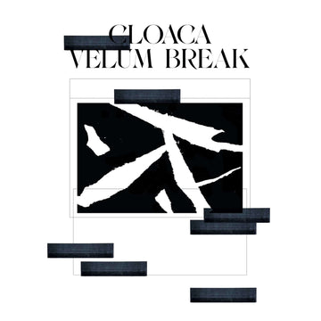 Velum - Break Cloaca EP (Vinyl) - Birmingham based Velum Break lumbers on to Analogical Force with his debut EP; his glistening Cloaca. Dripping with infectious warpings, rhythmic engorgements and low end turgidities, this record beckons the dandy inside Vinly Record
