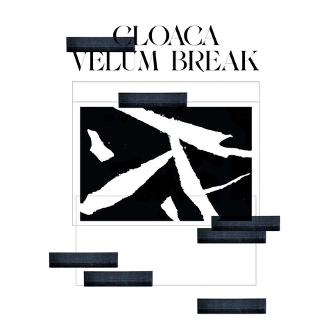 Velum - Break Cloaca EP (Vinyl) - Birmingham based Velum Break lumbers on to Analogical Force with his debut EP; his glistening Cloaca. Dripping with infectious warpings, rhythmic engorgements and low end turgidities, this record beckons the dandy inside - Vinyl Record