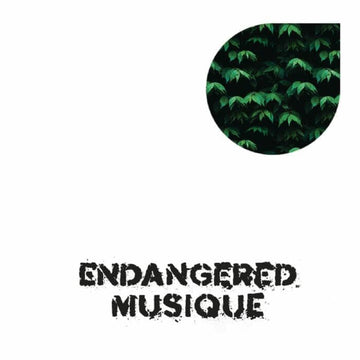 Jose Chinga - Tree House Rhythms - Artists Jose Chinga Genre Deep House Release Date 31 Mar 2023 Cat No. EM 001 Format 12