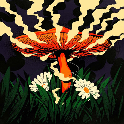 Adam Pits - A Recurring Nature Vinyl - Vinyl Record