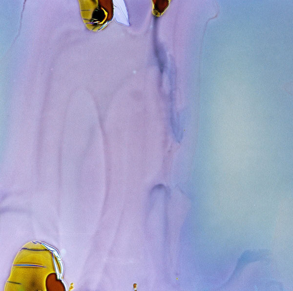 Anderson - Jelly Bean EP Vinyl