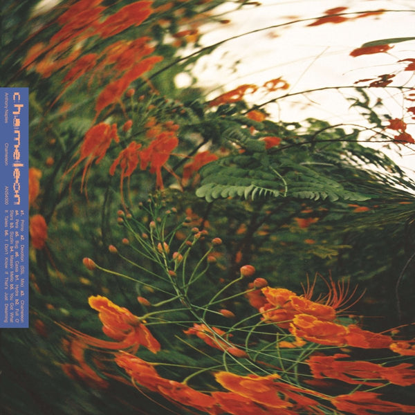 Anthony Naples - Chameleon Vinyl