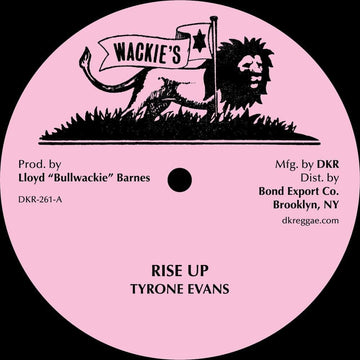 Tyrone Evans - Rise Up (Discomix) - Artists Tyrone Evans Genre Disco Reggae, Reissue Release Date 3 Mar 2023 Cat No. DKR 261 Format 12