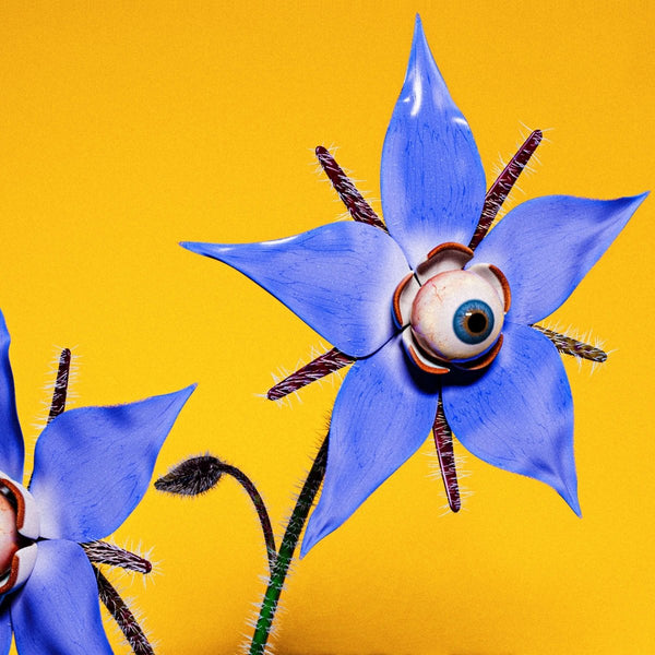 Barry Can’t Swim - 'More Content' Vinyl Vinyl