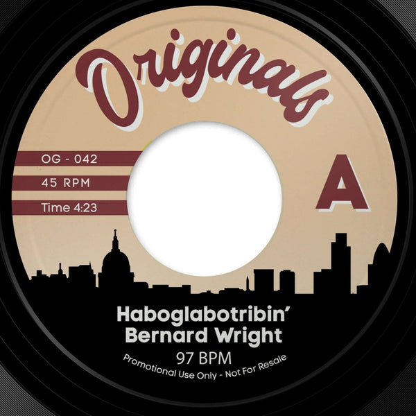 Bernard Wright / Snoop Doggy Dogg - Gz & Hustlas Vinyl