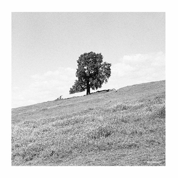 Blank Gloss - Cornered Vinyl