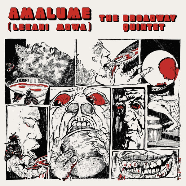 Broadway Quintet - Amalume Vinyl