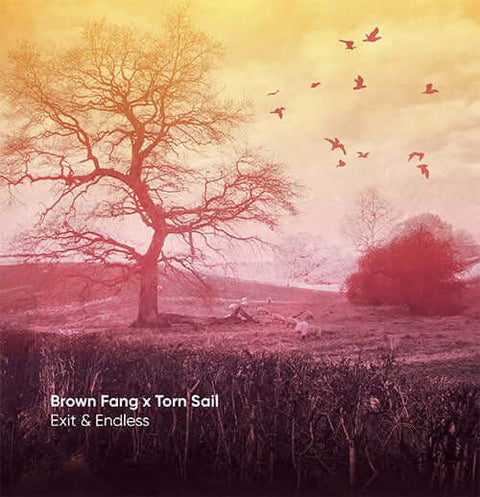 Brown Fang x Torn Sail - Exit & Endless Vinyl - Vinyl Record