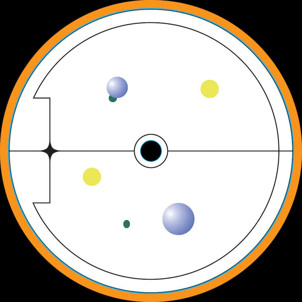 Bufo Bufo - Weatherworker Vinyl