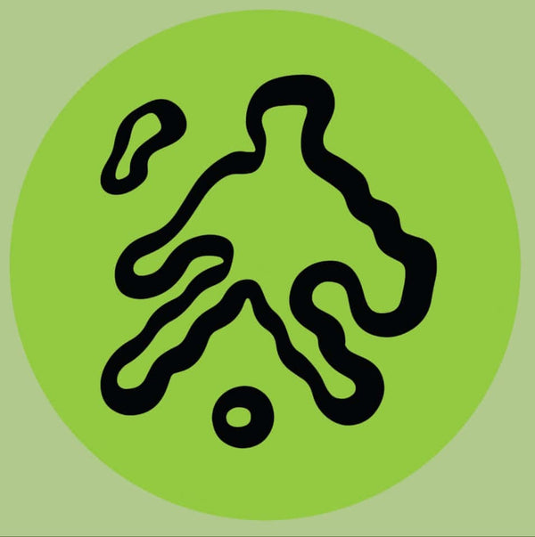 Chaos In The CBD - Brainstorm Vinyl